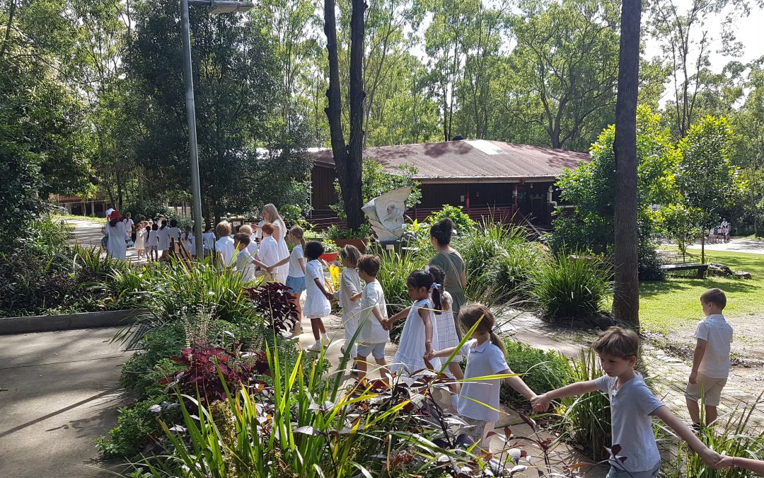 Roses to Welcome Class 1 Children