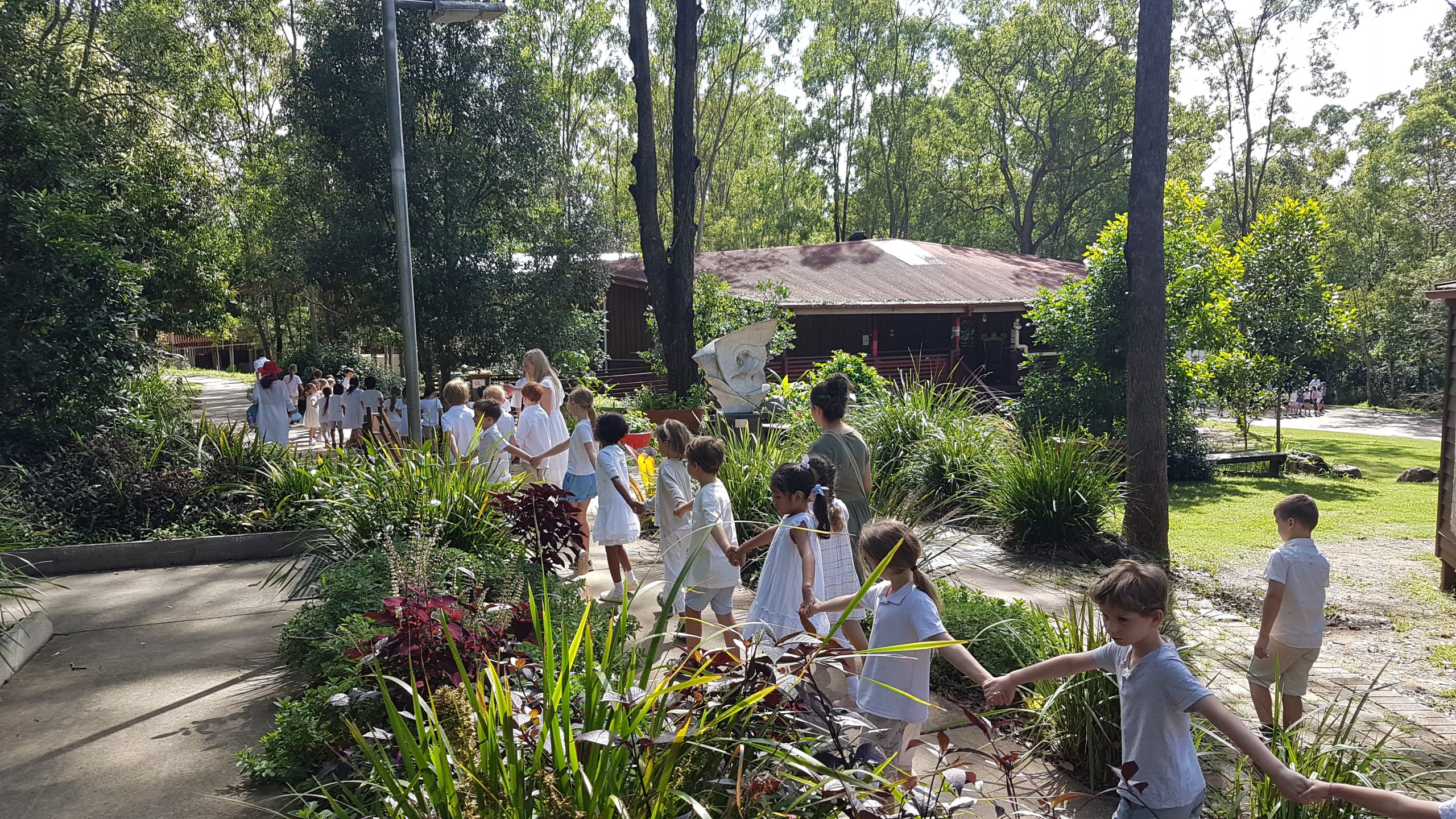 Roses to Welcome Class 1 Children
